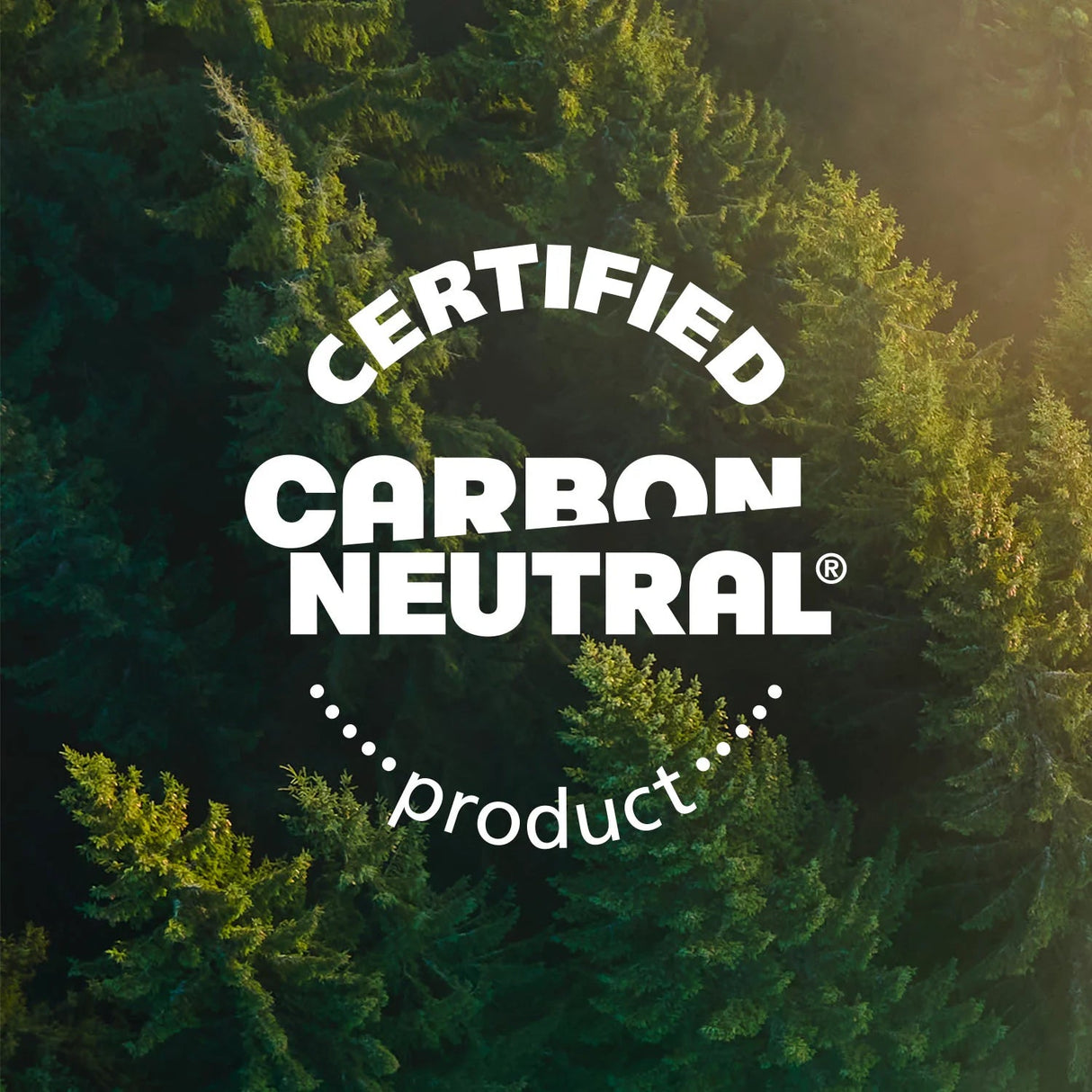 Coast AAA 1.5 V, 750 mAh USB-C Rechargeable Lithium-ion Protected Battery (4 Pack)