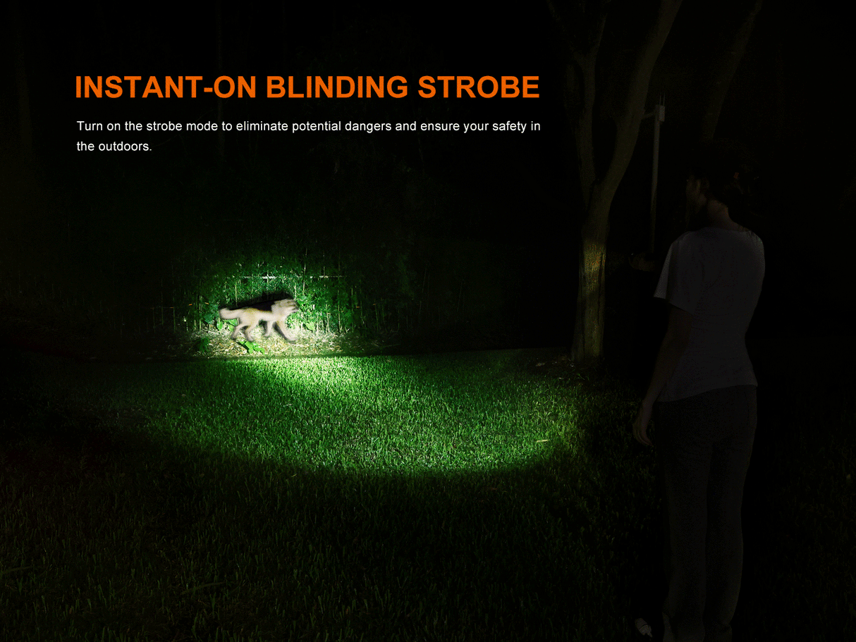 Fenix LD35R Rechargeable LED Torch