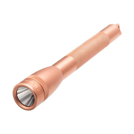 Mini Maglite 2-Cell AAA LED Torch