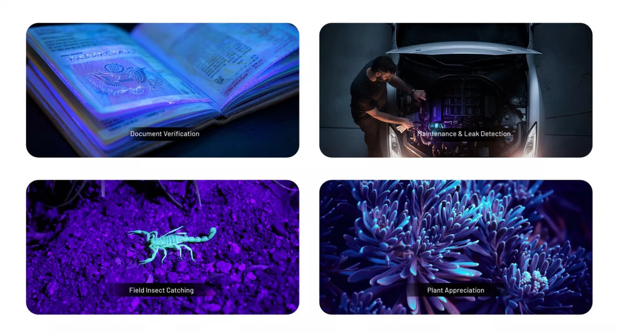 Nitecore EDC17 EU Green Laser, White & UV Slim Rechargeable LED Torch