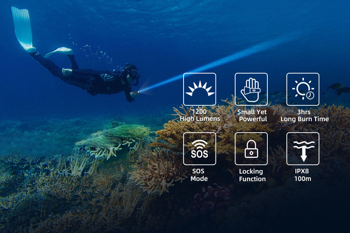 Xtar D20 Press LED Diving Torch Kit