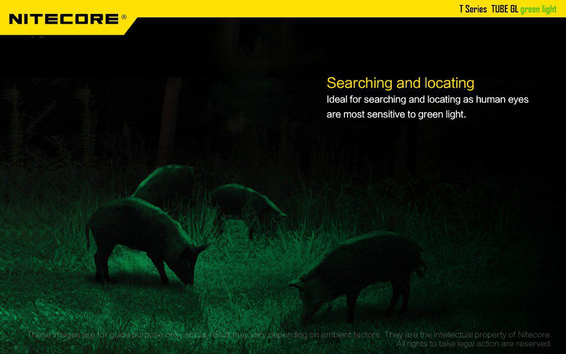 Nitecore Tube Green Light Rechargeable LED Key Ring Torch